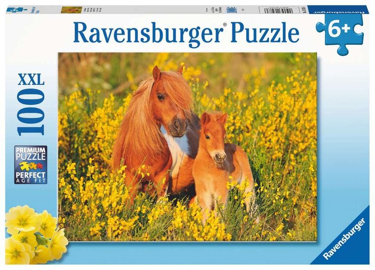 Product Image for Ravensburger Pussel - Shetlandsponnys 100 bitar XXL