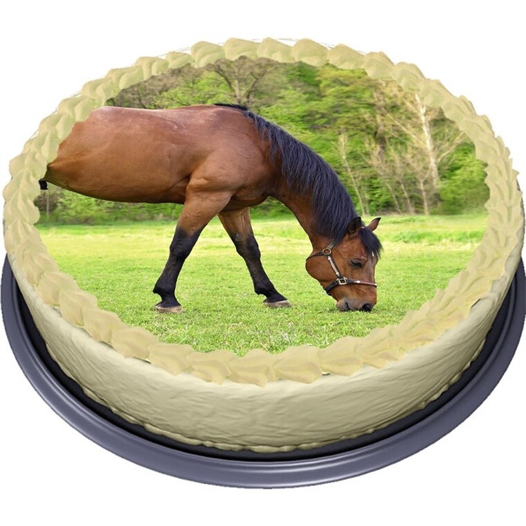 Product Image for Häst, Tårtbild Sockerpasta