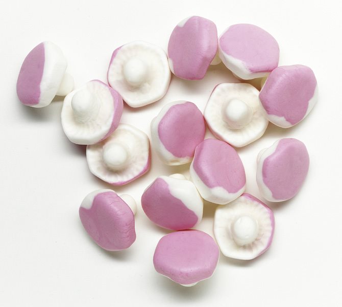 Product Image for Skumkantareller Storpack 938 gram