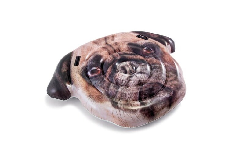 Product Image for Intex Badmadrass Playful Pug Island 163 cm