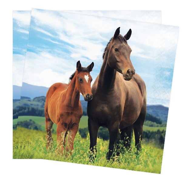 Product Image for Horse and Pony - Servetter 16-pack