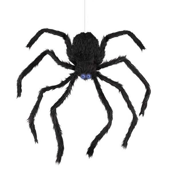 Product Image for Animerad klättrande spindel