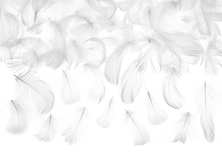 Product Image for Vita Dekorationsfjädrar 3 gram