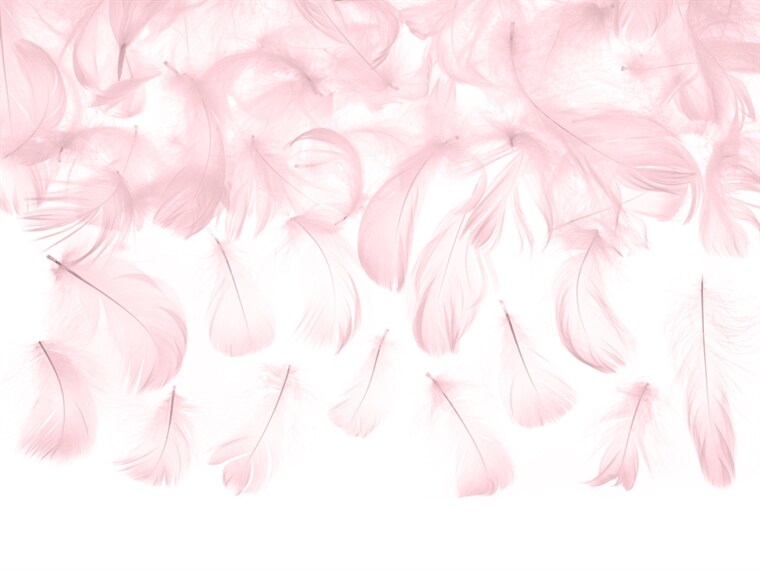 Product Image for Rosa Dekorationsfjädrar 3 gram