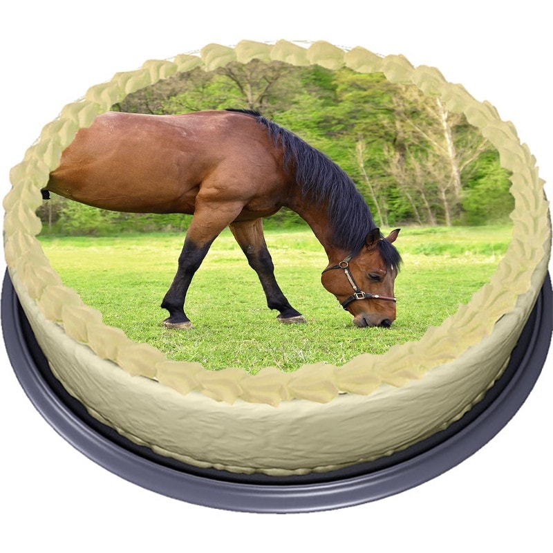 Häst, Tårtbild Sockerpasta