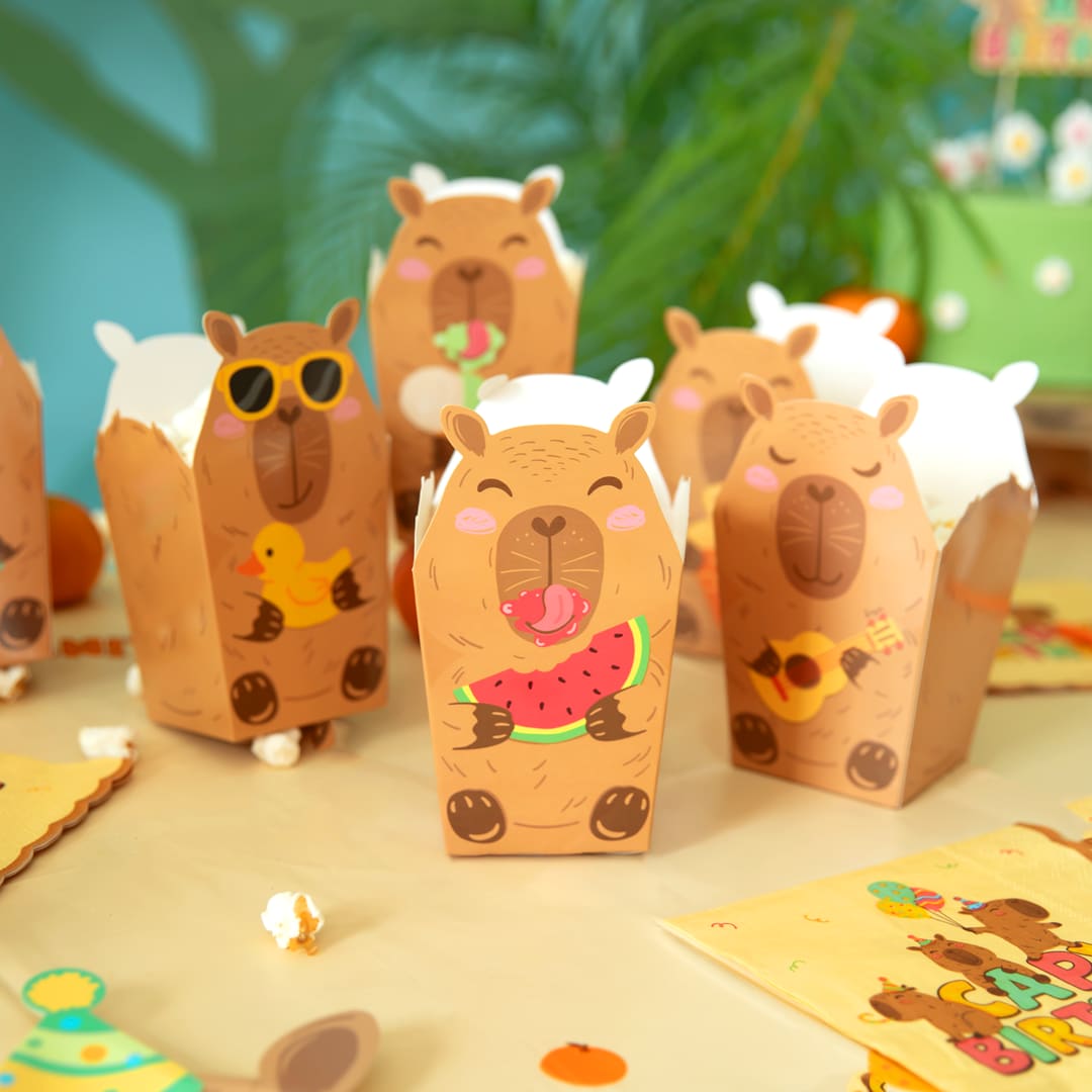 Capybara Popcornboxar 6-pack