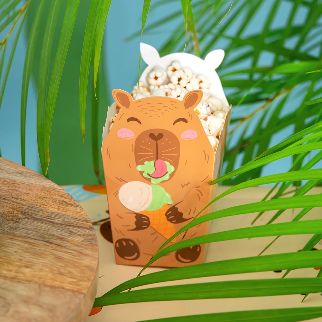 Capybara Popcornboxar 6-pack