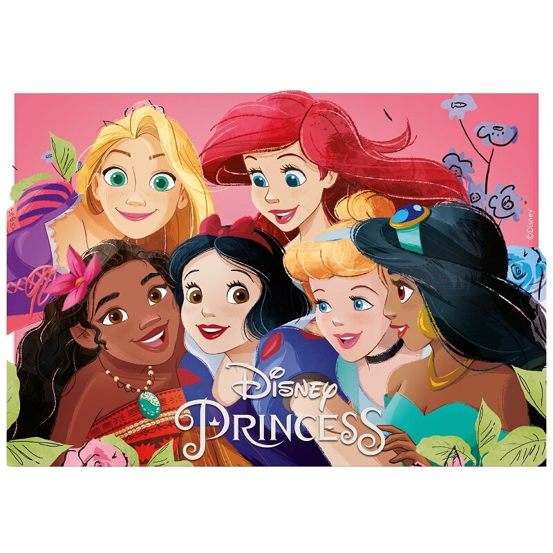 Tårtbild Disney Prinsessor - Sockerpasta 15 x 21 cm