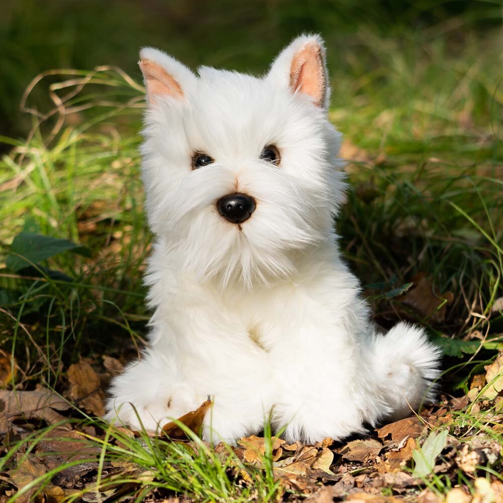 Animigos World of Nature - West highland vit terrier 24 cm