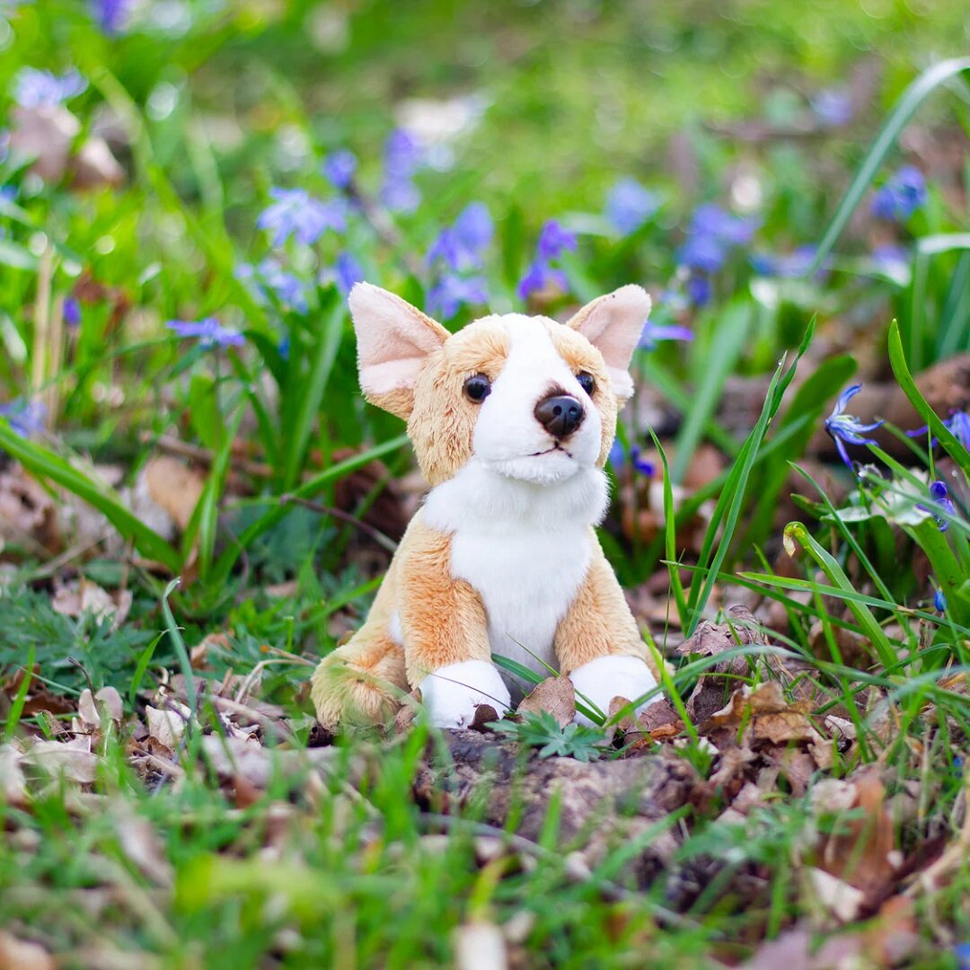 Animigos World of Nature Mini - Corgi