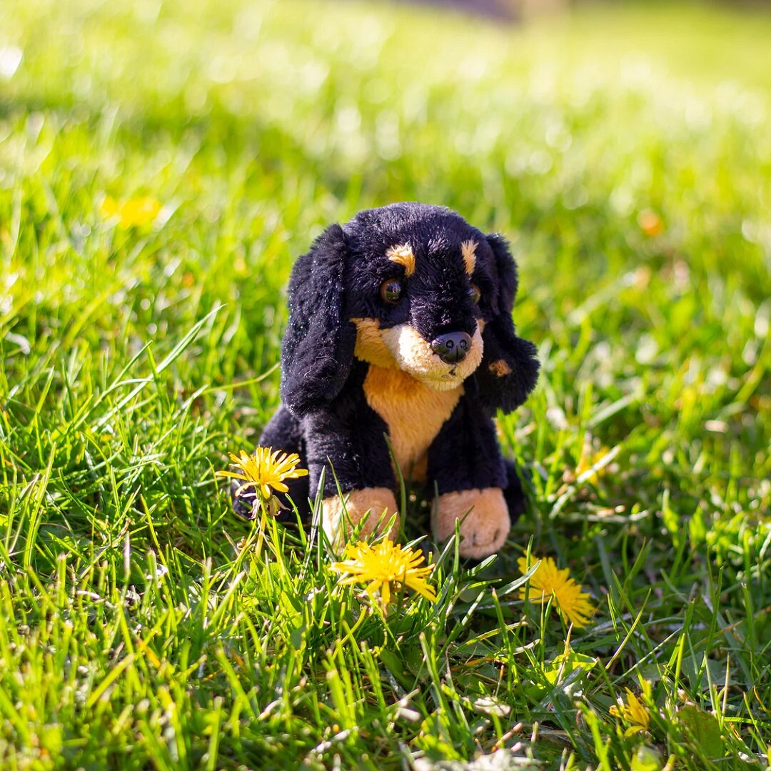 Animigos World of Nature Mini - Tax