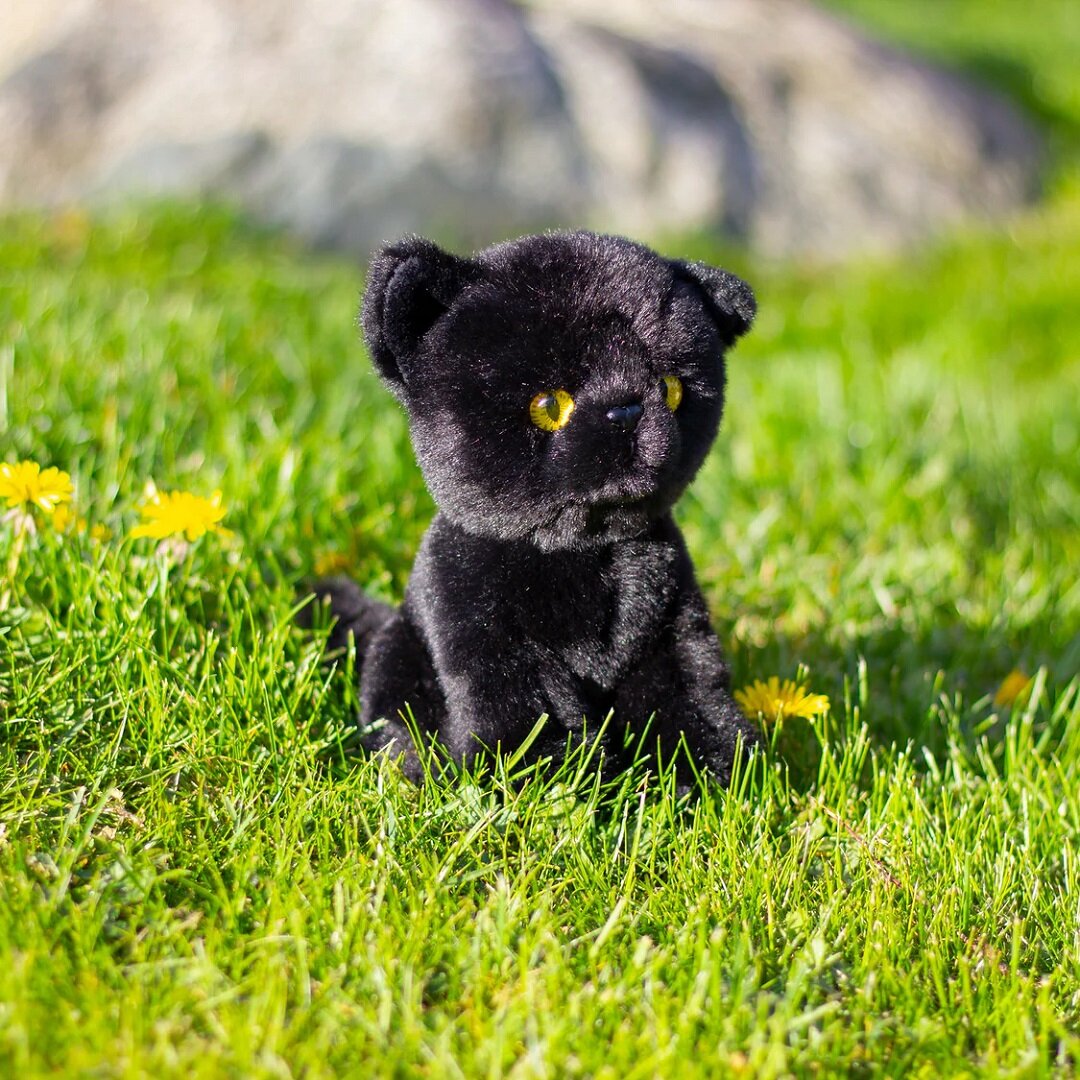 Animigos World of Nature Mini - Svart Katt