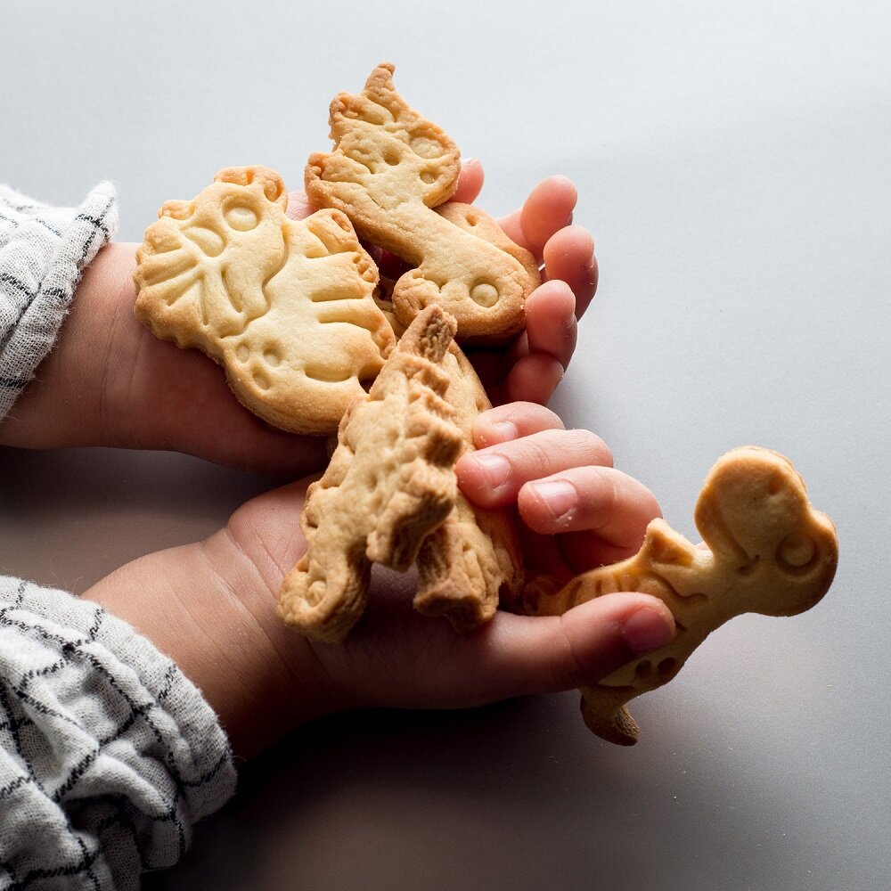Kakformar Dinosaurier 2-pack