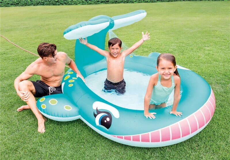 Intex Spraypool Val 201 cm