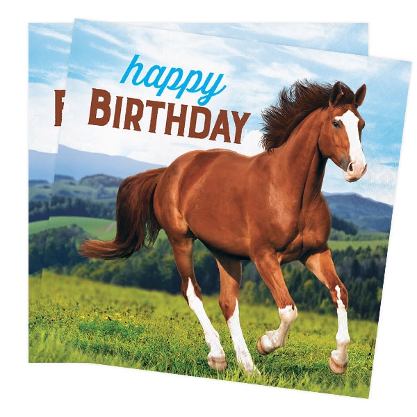 Horse and Pony, Servetter Happy Birthday 16-pack