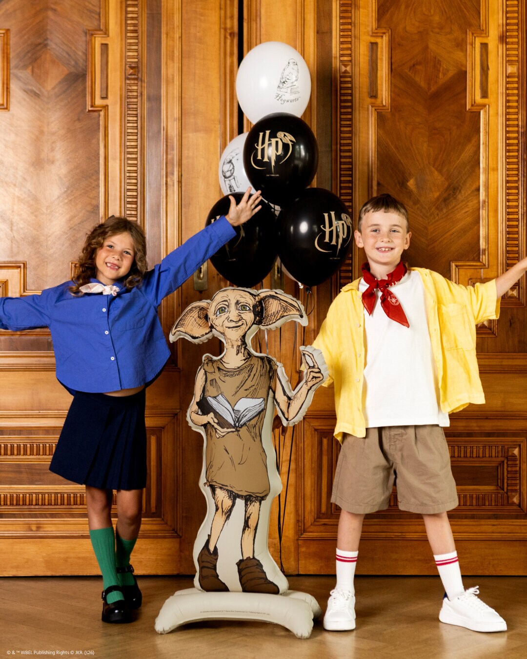 Harry Potter Dobby Folieballong 105 cm