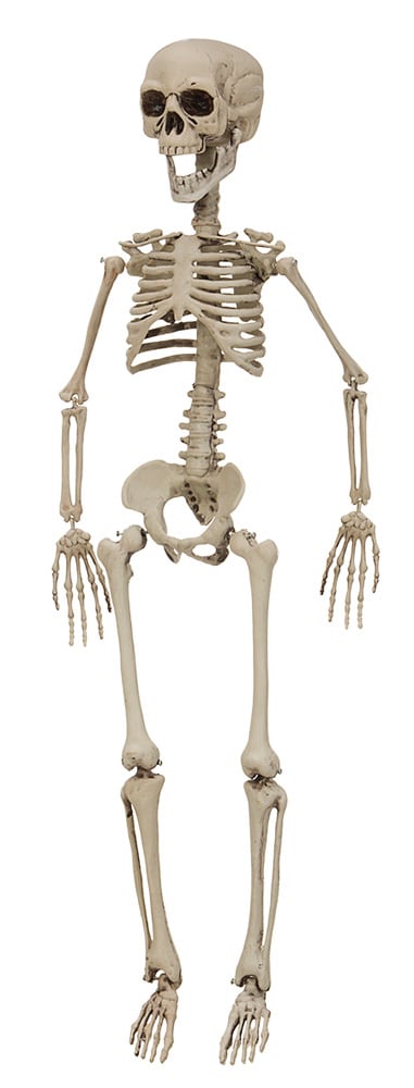 Hängande skelett 90 cm