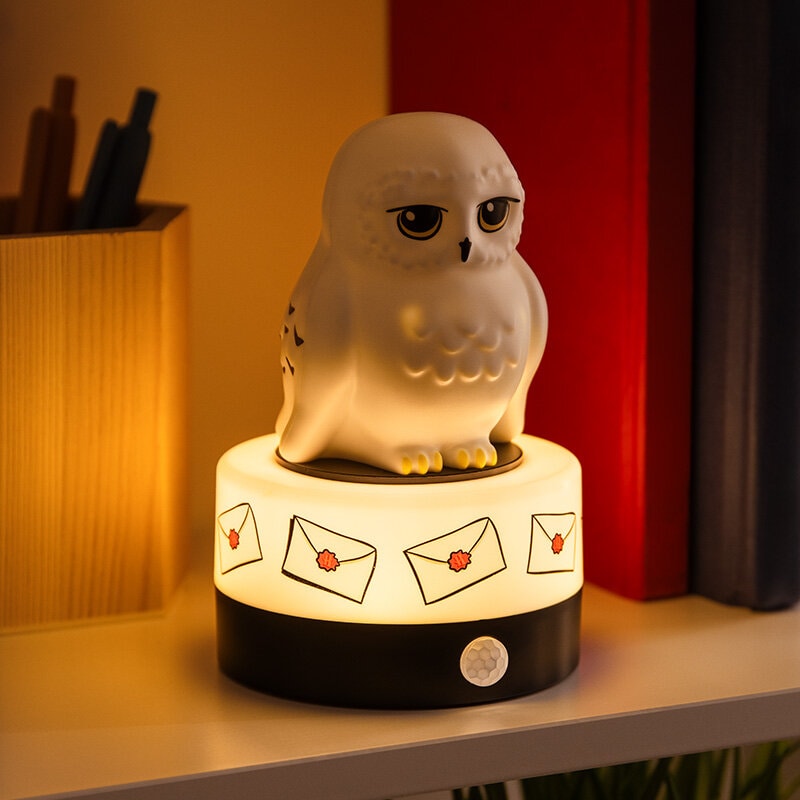 Harry Potter - Hedwig Room Guard