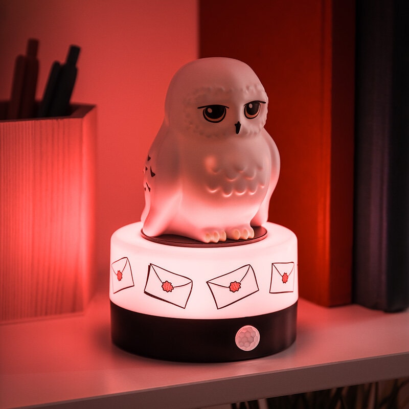 Harry Potter - Hedwig Room Guard